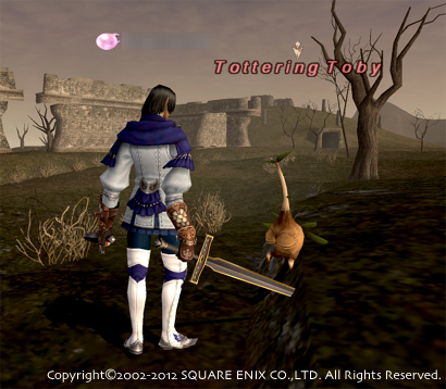 FFXI01